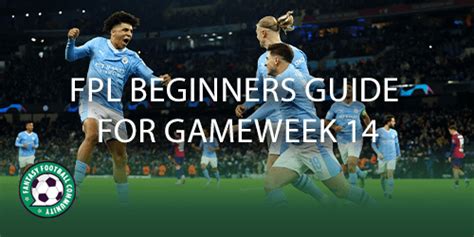 FPL Beginners Guide for Gameweek 14 - Fantasy Football Community