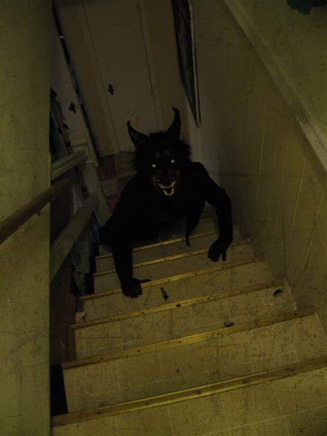 Demon In The Basement Pictures, Photos, and Images for Facebook, Tumblr ...