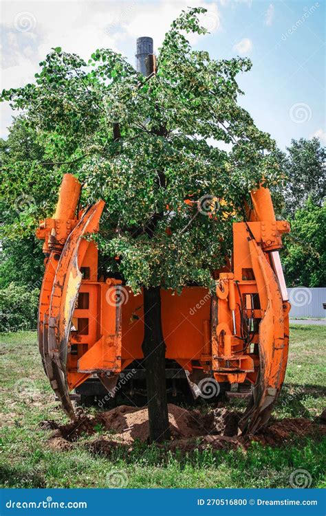 Tree spade planting tree stock photo. Image of equipment - 270516800