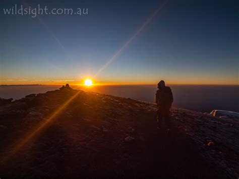 Kilimanjaro sunrise - Wild Sight