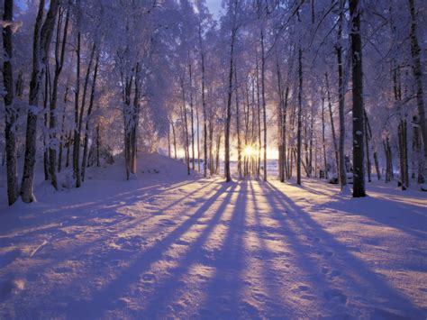 Winter Scene Desktop Background (56+ images)