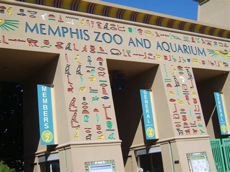 Memphis Zoo - 2021 All You Need to Know BEFORE You Go (with Photos ...