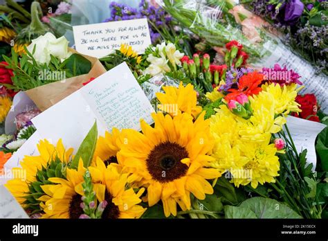 Her Majesty Queen Elizabeth II funeral floral tributes- Floral tributes ...