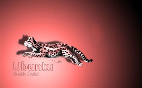 cat wallpaper only png collection2560x1600ubuntu font37 | Flickr
