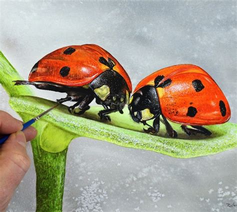 ORIGINAL Ladybug Watercolor Painting Realistic Watercolour - Etsy