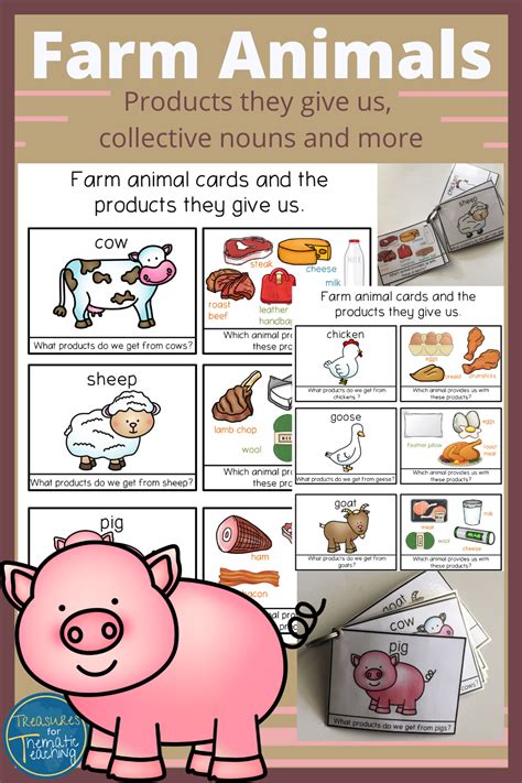 Farm Animals And Their Products Chart