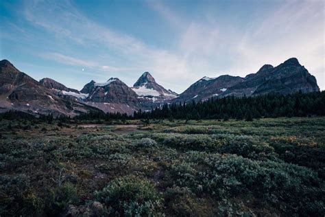 HIKING MOUNT ASSINIBOINE | Ultimate Backpacking Guide - Wild About BC