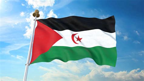 The Flag of Western Sahara: History, Meaning, and Symbolism - A-Z Animals