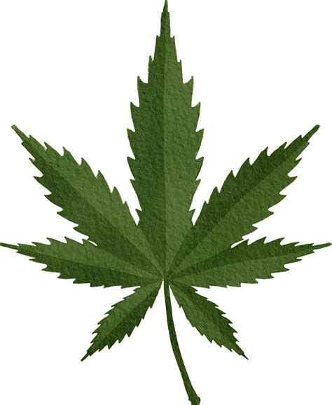 Weed Leaf PNGs for Free Download