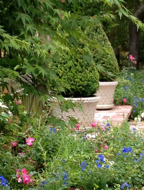 English Garden, Palo Alto, California - marilee gaffney design