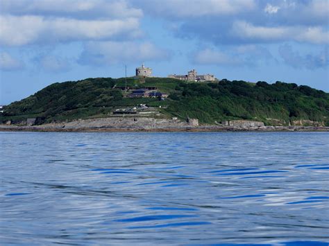 Pendennis Point, Falmouth guide to watching dolphins, seals, Basking Sharks and seabirds ...