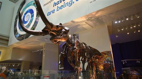 Smithsonian's Museum of Natural History debuts new dinosaur exhibit ...