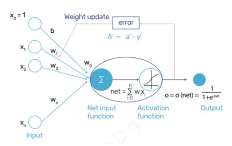 Perceptron Algorithm - 360DigiTMG