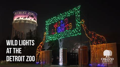 Light Up Your Holiday Season with Wild Lights at the Detroit Zoo! – Oakland County Blog