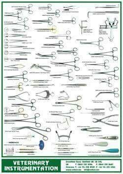 Pin on Veterinary | Vet tech school, Vet medicine, Veterinary