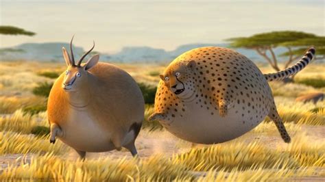 まんまるに太ったアフリカの野生動物がかわいいアニメーション動画シリーズ「Rollin’ Safari」4本 - DNA