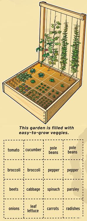 How to Plan Your Square Foot Garden