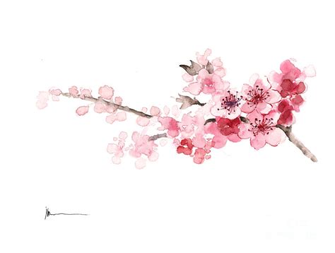 Cherry blossom art print watercolor painting Painting by Joanna Szmerdt - Pixels