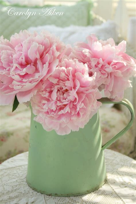 Aiken House & Gardens: Perfectly Pink Peonies