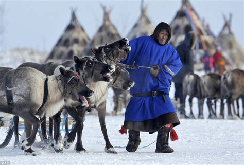 Indigenous Nenets at the annual Reindeer Herder's Day in Siberia | Daily Mail Online