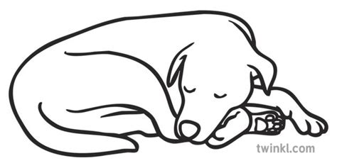 Dog Curled Up Sleeping Pet Asleep KS1 Black and White Illustration - Twinkl | Dog line drawing ...