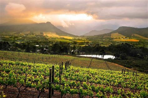 Franschoek Wine Valley with Cape Touring