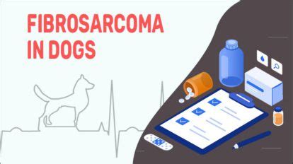 Fibrosarcoma In Dogs: Causes, Types & Treatment - Petmoo