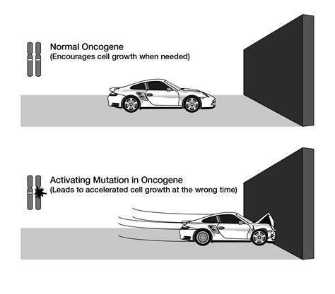 Oncogene