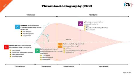 Thromboelastography (TEG) is a Better Indicator of Hemostasis in Cirrhotic Patients