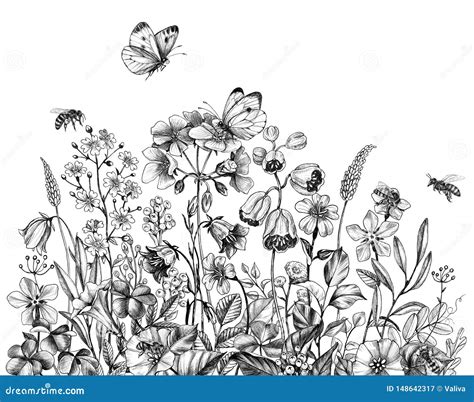 Hand Drawn Wildflowers, Bees and Butterfly Stock Illustration - Illustration of black, line ...