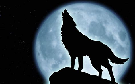 Free Wolf Howling At Moon Silhouette, Download Free Wolf Howling At ...