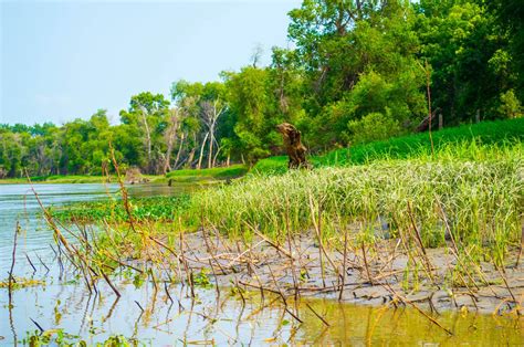 Red River of the North | In-Depth Outdoors