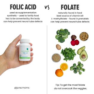 The Significance of Folic Acid during Pregnancy - DishWithDina