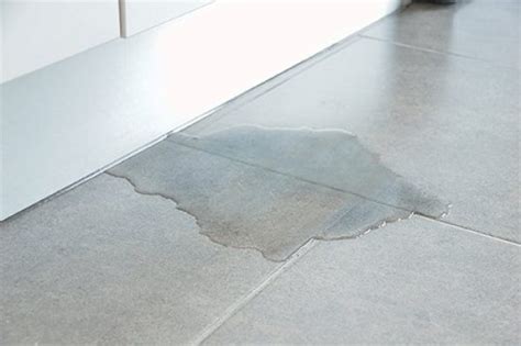 Common Signs Of A Slab Leak Everyone Should Know | Gordon Air & Plumbing