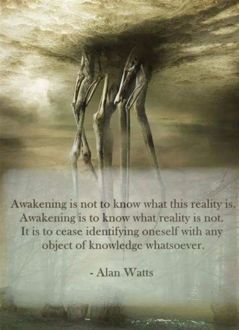 145+ EXCLUSIVE Alan Watts Quotes To Blow Your Mind - BayArt