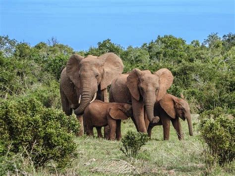 South Africa National Parks Garden Route