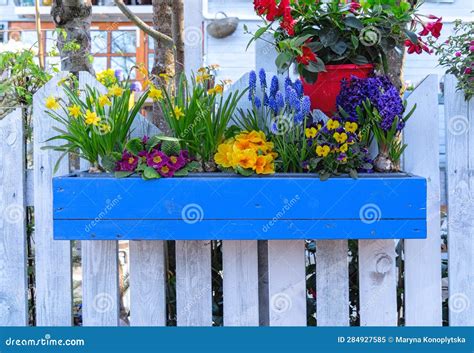 Flower Pot with Spring Flowers Stock Image - Image of backyard, fence: 284927585