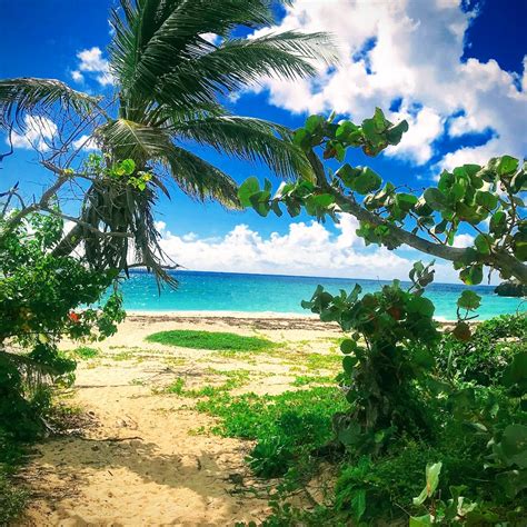 12 Stunning Vieques Beaches You Need to Experience - Tour Guide Tara