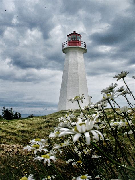 1000+ images about Nova Scotia/Lighthouses on Pinterest | Canada, Cove ...