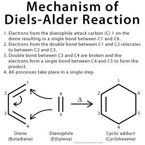 Diels-Alder Reaction: Definition, Examples, and Mechanism