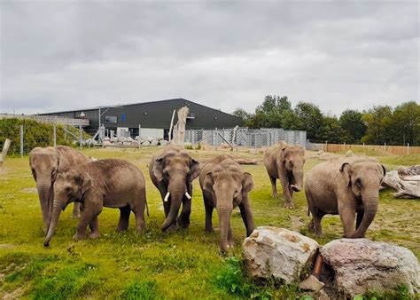 One of the UK’s top animal parks | Blackpool Zoo