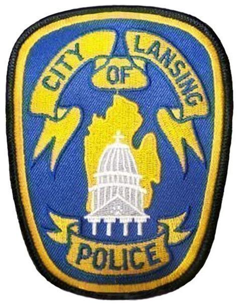 Lansing pizza delivery driver robbed at gunpoint - mlive.com