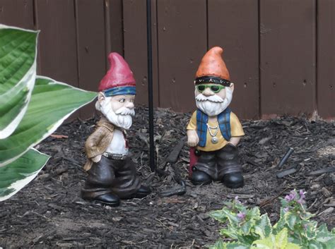 Garden Gnomes Blank Template - Imgflip