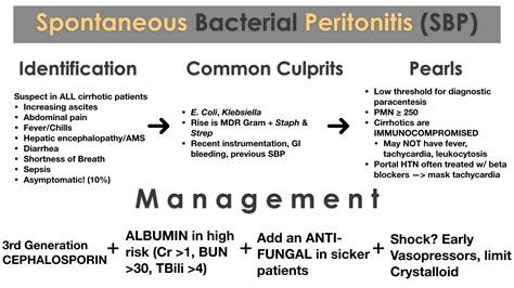 Spontaneous Bacterial Peritonitis (SBP) - REBEL EM - Emergency Medicine Blog