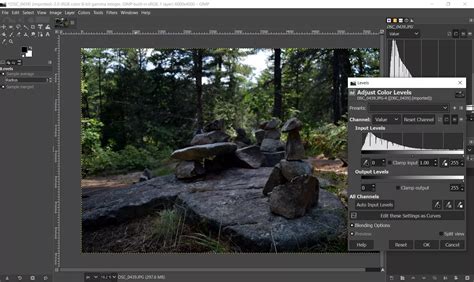 Top Alternatives to Adobe Photoshop | TechSpot