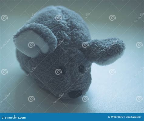 A Small Gray Mouse. a Beautiful Mouse with Big Round Ears and Black ...