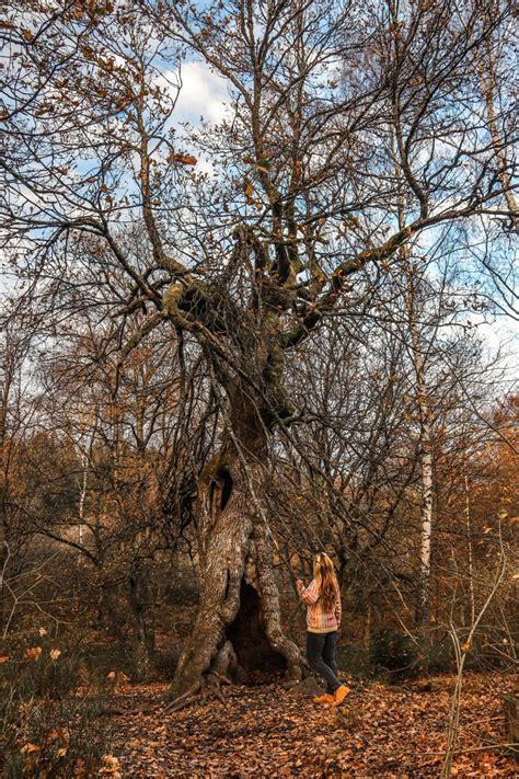 Hiking in the Belgian Ardennes: 10 most beautiful walks you must do