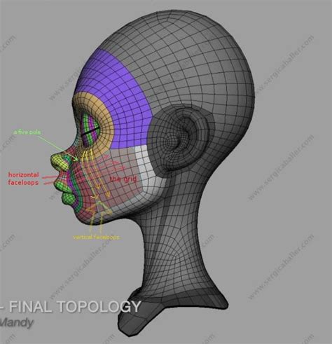 Topology Reference/Guide - INTRO TO 3D - 60125