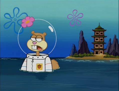 SpongeBuddy Mania - SpongeBob Episode - Karate Island