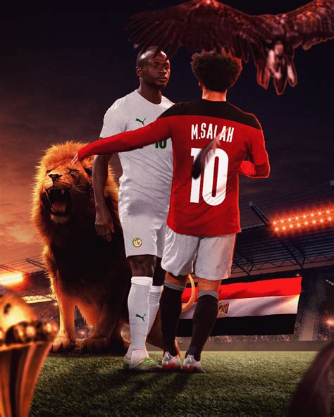 Africa cup of nations 2022 Artwork on Behance